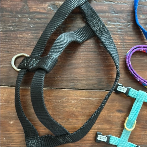 Black and Blue Cat Collars and Leashes Set - Picture 4 of 4